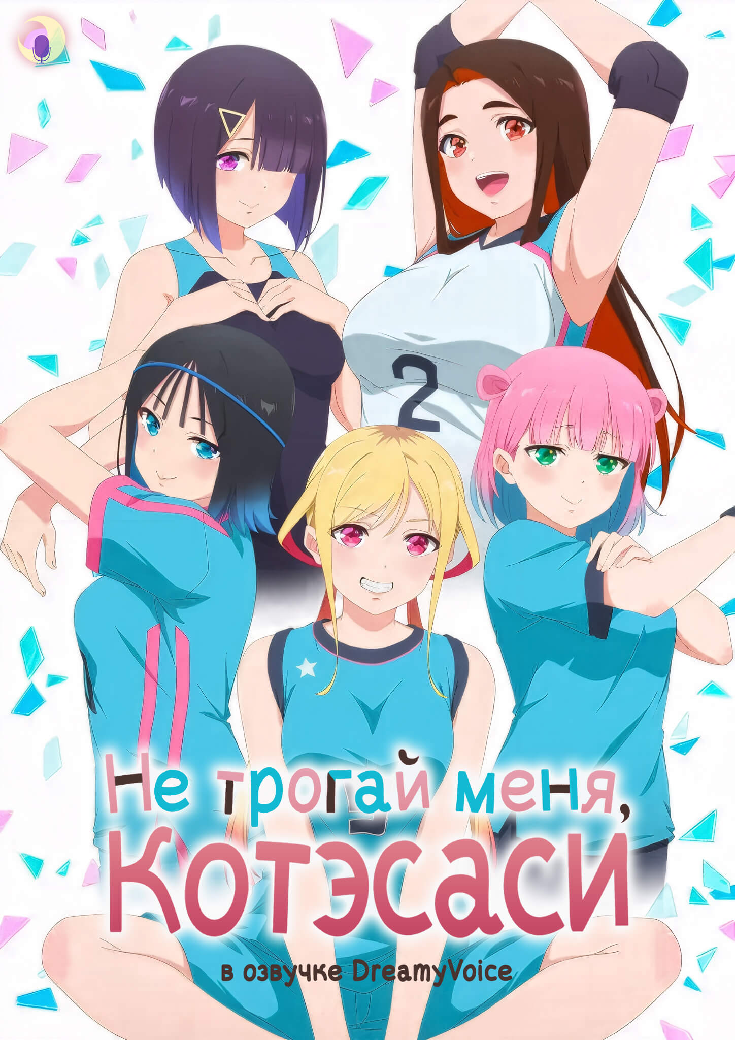 Обложка Не трогай меня, Котэсаси