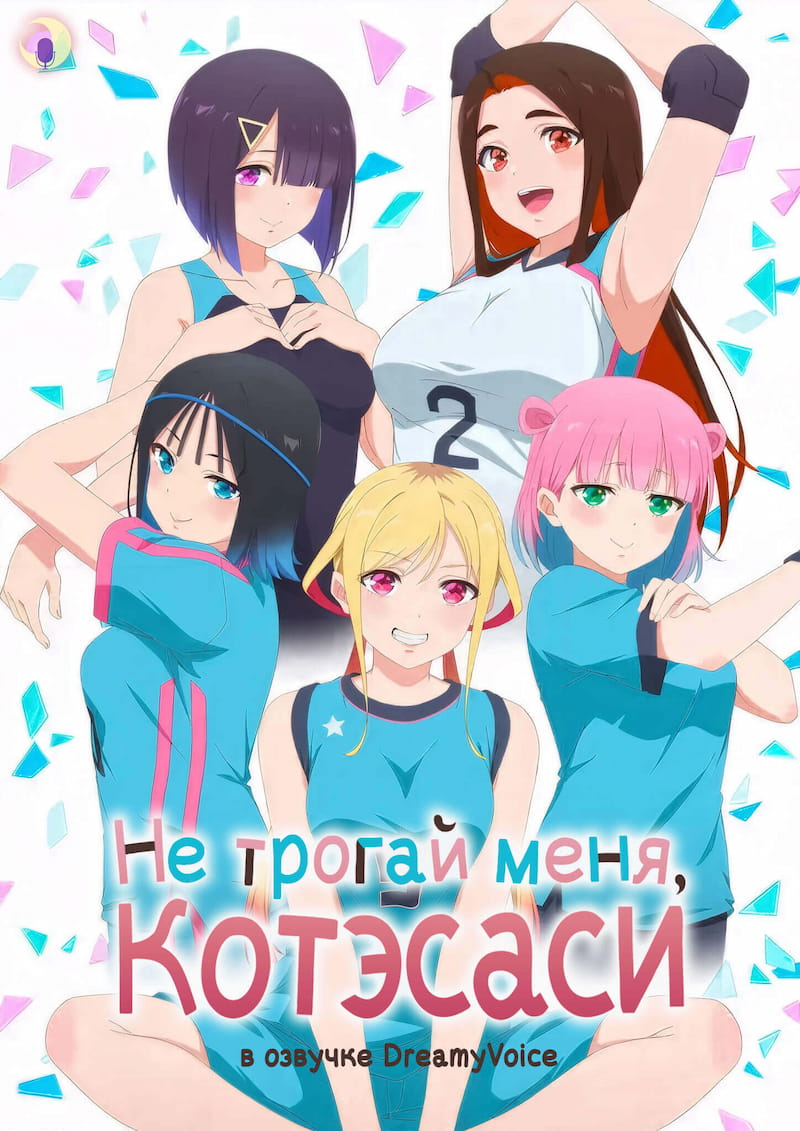 Обложка Не трогай меня, Котэсаси